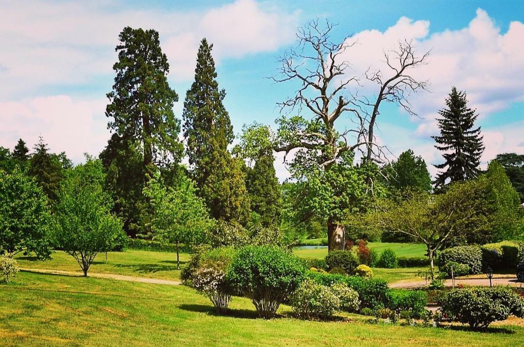 Château d'Ardrée Saint-Antoine-du-Rocher Exterior foto