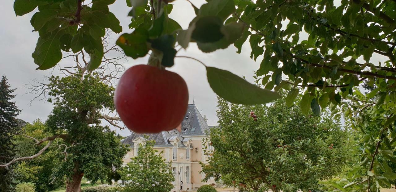 Château d'Ardrée Saint-Antoine-du-Rocher Exterior foto